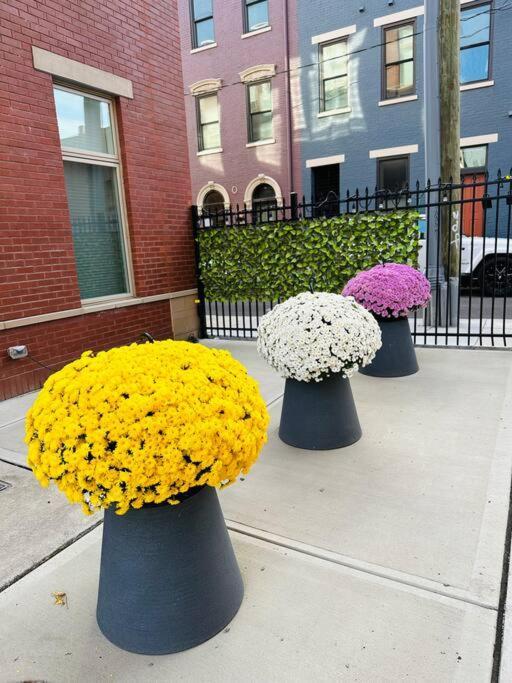 **New Modernlux Best Otr Condo *Park Onsite** Cincinnati Buitenkant foto